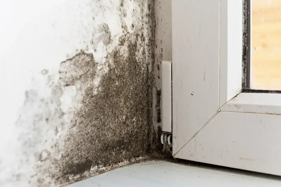 Manhattan Beach — Water Damage